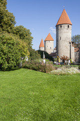 Fototapeta na wymiar Tallinn Medieval Town