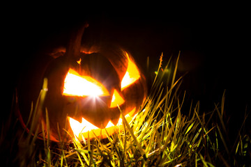 Halloween scary face pumpkin  on black background