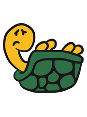 Hilflose umgekippte Schildkröte