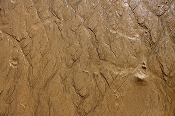 sabbia bagnata