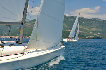 Sailboats regatta