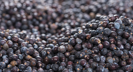 Dried Juniper Berries background image