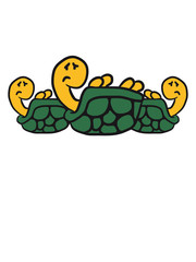 3 Hilflose umgekippte Schildkröten