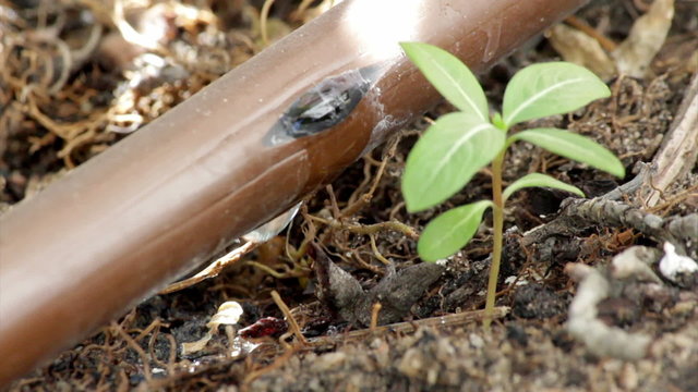 Garden Irrigation dripper pipe system