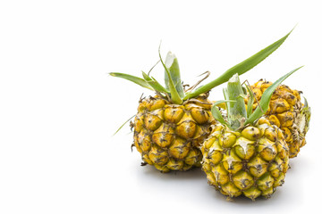 Sweet Pineapple fruit.