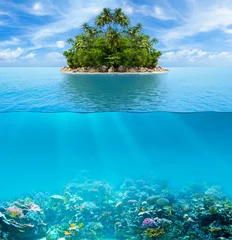  Onderwater koraalrif zeebodem en wateroppervlak met tropische isl © Andrey Kuzmin