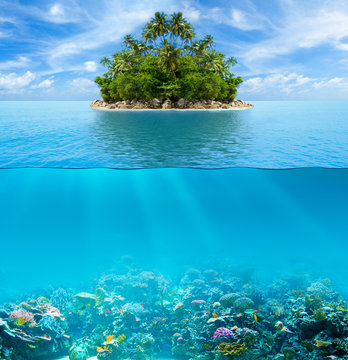 Fototapeta Podwodne rafa koralowa dno morskie i powierzchnia wody z tropikalną wyspą