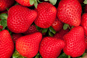 delicious red strawberries