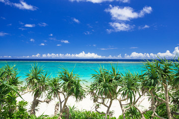 沖縄の海・長浜ビーチ