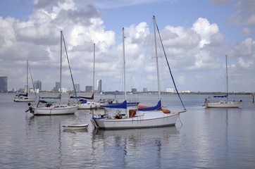 Fototapeta na wymiar Sailboats On A Florida Waterway