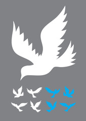 Dove bird flying, art vector design