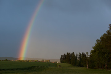 Regenbogen