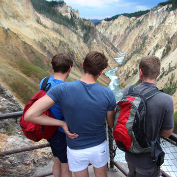 Yellowstone - Grand Canyon / Lower Falls