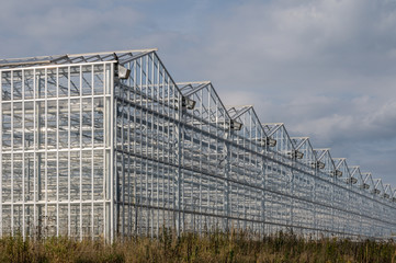 Fototapeta premium Industrial greenhouses on the sky background with clouds