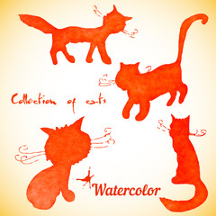 Collection of four cats