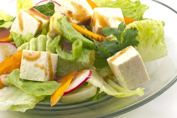 Tofu Salad with sesame dressing