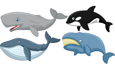 Fototapeta premium Cartoon whale collection