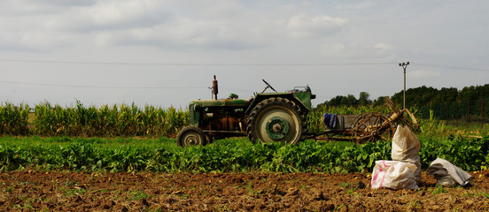 tractor potatoe harvest