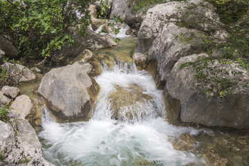 Mountain Stream