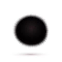 Virus icon isolated on white background