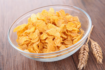 cornflake
