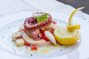 Appetizer of cuttlefish octopus and potatoes