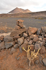 desierto volcanico en lanzarote