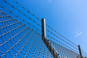 Razor Wire Above a Fence