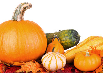 Gourds on a White Background