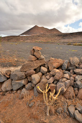 desierto volcanico en lanzarote