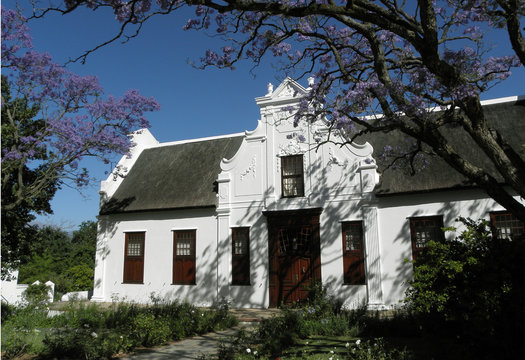 Winery in South Africa