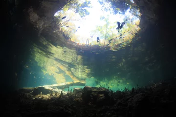 Zelfklevend Fotobehang Entrance area of freshwater cave © aquapix