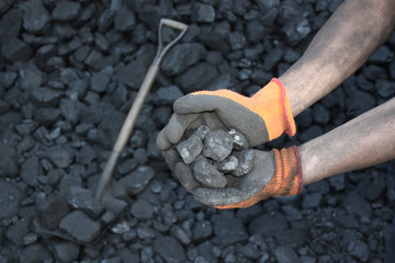Coal