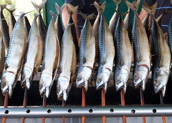 Steckfisch