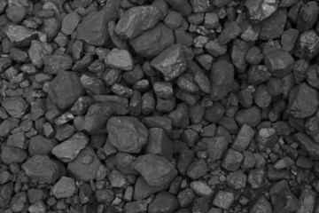 Coal