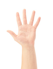 Open man hand or number five