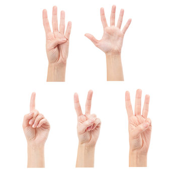 Counting woman hands (1 to 5) isolated on white background