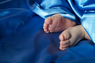 Baby feet on silk