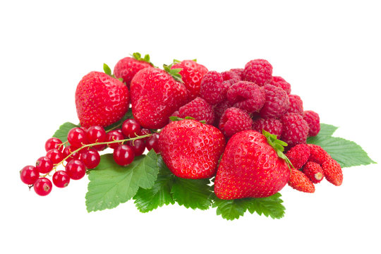 fresh red berries