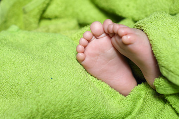 Baby Feet under blanket