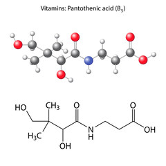 Pantothenic acid molecule - vitamin b5