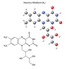 Riboflavin molecule - vitamin b1