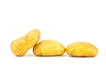 Potato