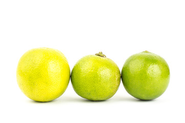 Lime