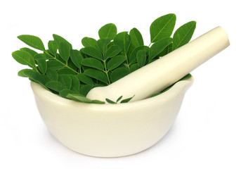 Mortar and pestle with medicinal moringa leaves