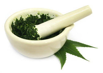 Mortar and pestle with medicinal neem leaves