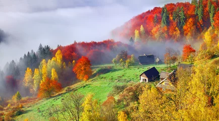 Poster Colorful autumn landscape in the mountain village. Foggy morning © Andrew Mayovskyy