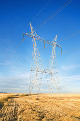 landscape of a Power line and a a harvest meadow at down.