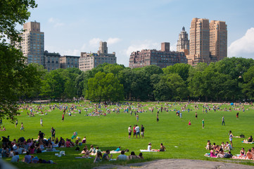 Sheep Meadow, Central Park