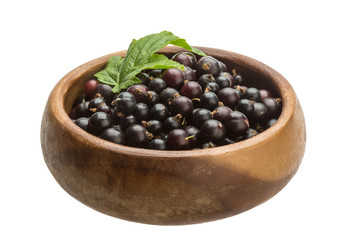 Black currant